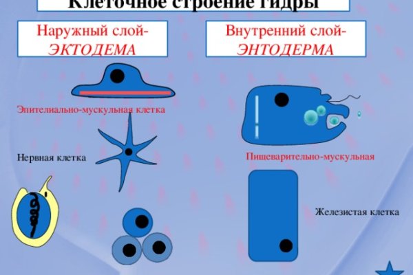 Кракен зеркало на сайт