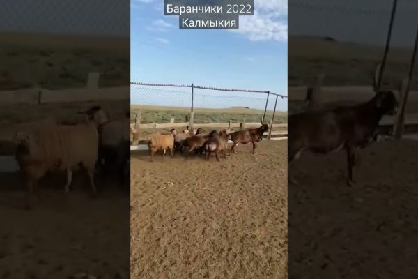 Кракен что продается