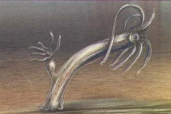 Kra40.cc