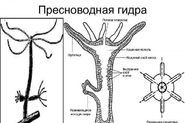 Кракен ссылка vk2 top