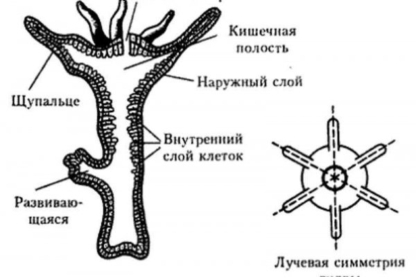 Кракен сайт с наркотиками