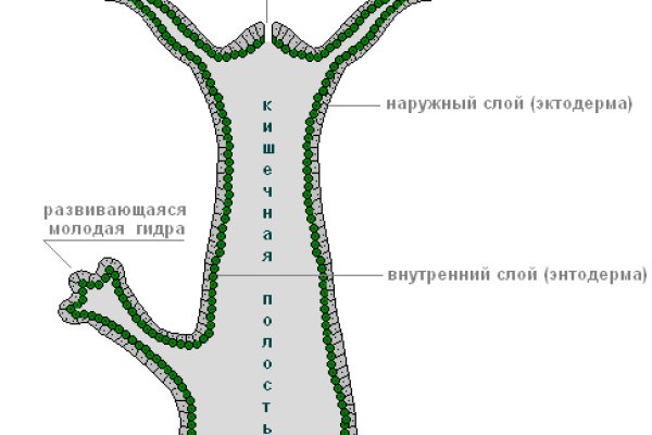 Сайт купить наркотики